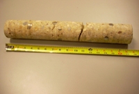 Concrete and steel core sample from the vault wall